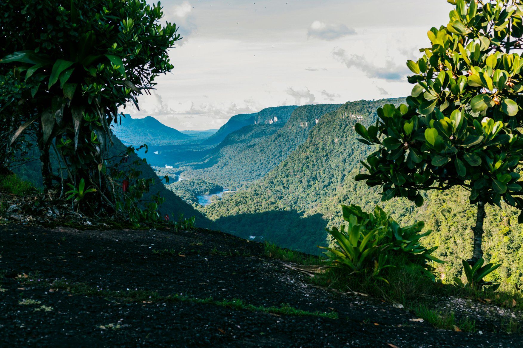 Pacaraima Mountains, Guyana